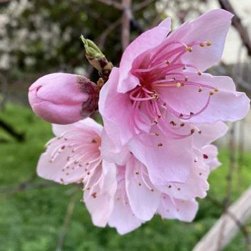 La foto del giorno del 2 marzo 2026