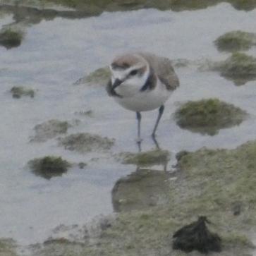 La foto del giorno del 3 marzo 2026