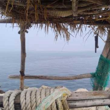 La foto del giorno del 5 marzo 2026