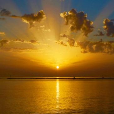 Il 14 marzo si celebra la Giornata nazionale del paesaggio: l'omaggio al tramonto di Bari nella foto del giorno