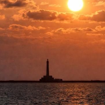 La foto del giorno del 20 marzo 2026