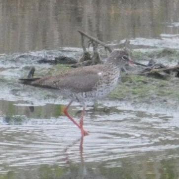 La foto del giorno 22 marzo 2026