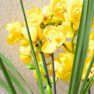 La foto del giorno dell'11 aprile 2026