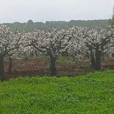La foto del giorno del 16 aprile 2026