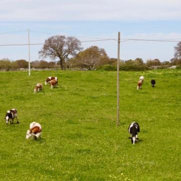 La foto del giorno del 18 aprile 2026