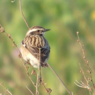La foto del giorno del 21 aprile 2026