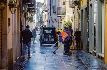 Potenza, a rischio gli interventi contro topi, blatte e insetti: mancano i fondi