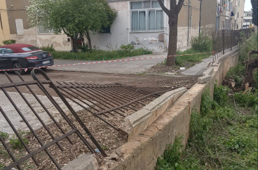 Lecce, un grande pino crolla e si abbatte sul cortile della scuola &laquo;Livio Tempesta&raquo; di via Ofanto