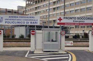 Terlizzi, va a scuola in scooter e finisce contro un cavallo: 18enne finisce in Rianimazione Terlizzi, va a scuola in scooter e finisce contro un cavallo: 18enne finisce in Rianimazione