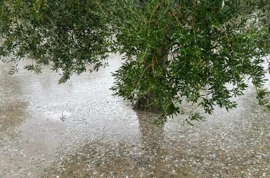 Ancora allerta gialla in Puglia per deflussi dai fiumi Bradano e Fortore: rischio idrogeologico ed idraulico Ancora allerta gialla in Puglia per deflussi dai fiumi Bradano e Fortore: rischio idrogeologico ed idraulico