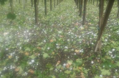 L&rsquo;alto costo annuo della crisi climatica