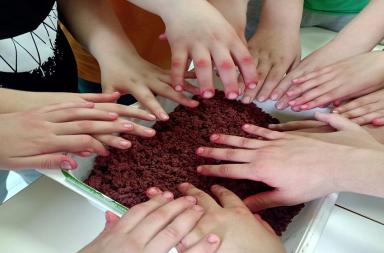 Carta Canta, RIFIORIAMO: cuori di germogli con la classe VE della scuola Carano-Mazzini di Gioia del Colle