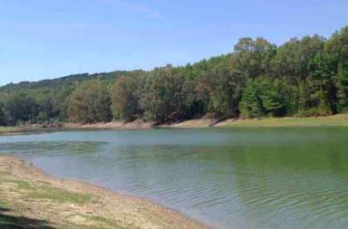 Aperte le paratoie della diga di San Giuliano, l'appello della Regione Puglia: &laquo;Innalzare la quota&raquo;