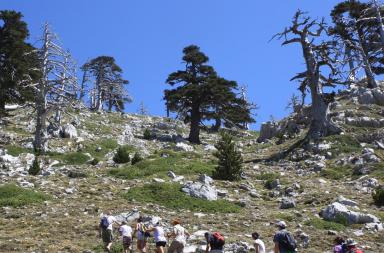Il Pollino 2024 &egrave; meta degli stranieri