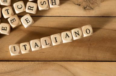 Il passato e il futuro della nostra lingua