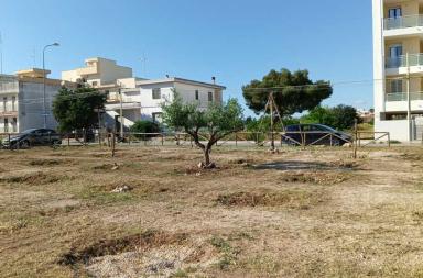 Podcast: &laquo;Il verde urbano nel nostro paese&raquo;