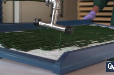 GAZZETTA TV Alla scoperta della Spirulina: il super food green che viene dalle alghe e dalla Puglia