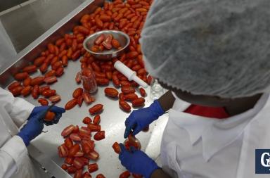 GAZZETTA TV Ecco i pomodori di Pietra di Scarto, cos&igrave; da 30 anni a Cerignola si compie la rivoluzione gentile della dignit&agrave;