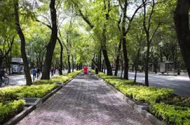 Con le città più verdi criminalità in crisi Con le città più verdi criminalità in crisi