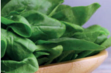 Mangiare per essere felici, nutrire mente e intestino Mangiare per essere felici, nutrire mente e intestino