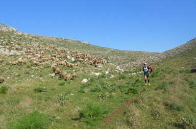 Ecco cosa fare in Puglia e in Basilicata nel weekend dal 21 al 23 novembre 2025 Ecco cosa fare in Puglia e in Basilicata nel weekend dal 21 al 23 novembre 2025