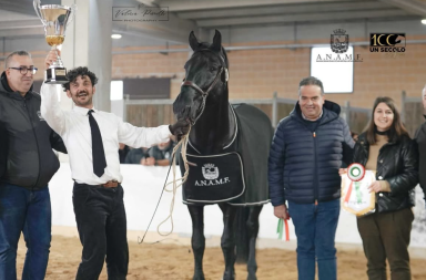 Cavallo delle Murge vince «T.F. Paisiello Osiride» Cavallo delle Murge vince «T.F. Paisiello Osiride»