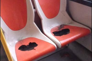 I nuovi bus cittadini &laquo;prestati&raquo; per la partita Cerignola-Benevento e vandalizzati: ad Andria scoppia il caso
