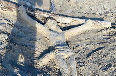 Dalla furia delle mareggiate del Salento nasce l&rsquo;arte: a Gallipoli un Cristo emerge dalla sabbia