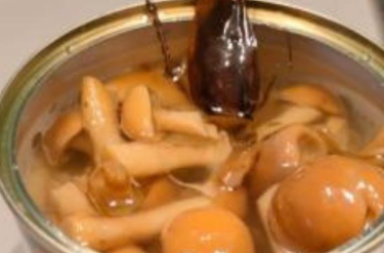 Mola, una blatta nei funghi trifolati acquistati al supermercato