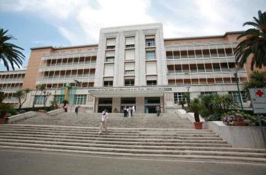 Bimbo trapiantato a Napoli, c'è un nuovo cuore per il piccolo Domenico: oggi la decisione del team di esperti Bimbo trapiantato a Napoli, c'è un nuovo cuore per il piccolo Domenico: oggi la decisione del team di esperti