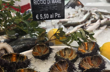 Carissima Puglia, a Fasano i ricci venduti in pescheria a cinque euro e mezzo Carissima Puglia, a Fasano i ricci venduti in pescheria a cinque euro e mezzo