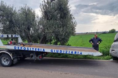 Esce fuori strada e si schianta contro un ulivo tra Castellaneta e Laterza, 74enne muore in ospedale Esce fuori strada e si schianta contro un ulivo tra Castellaneta e Laterza, 74enne muore in ospedale