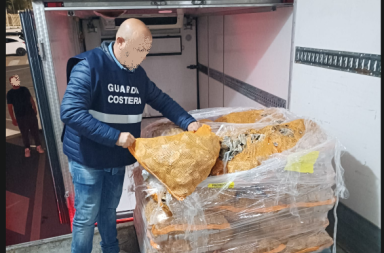 Pesce senza tracciabilit&agrave; e mal conservato: maxi sequestro da 500 kg nella Bat