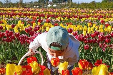 Ecco cosa fare in Puglia e in Basilicata nel weekend dal 20 al 22 marzo 2026 Ecco cosa fare in Puglia e in Basilicata nel weekend dal 20 al 22 marzo 2026