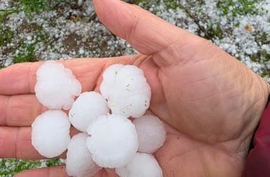 Maltempo nel Salento: grandine e allagamenti mettono in ginocchio l’agricoltura VIDEO Maltempo nel Salento: grandine e allagamenti mettono in ginocchio l’agricoltura VIDEO