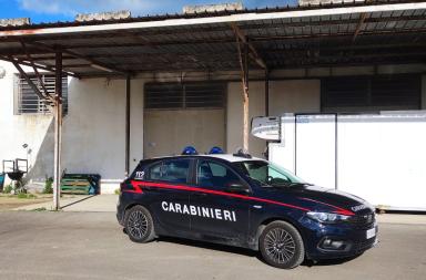 Agguato a Soleto, imprenditore 38enne ferito a colpi di pistola nella sua azienda: non è in pericolo di vita Agguato a Soleto, imprenditore 38enne ferito a colpi di pistola nella sua azienda: non è in pericolo di vita