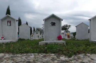 Bari, verso la creazione di un cimitero per animali: &laquo;Serve una risposta dignitosa per i cittadini&raquo;