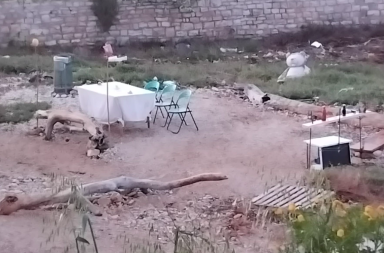 Bari, i nidi dei fratini tra i tavolini di Pasquetta a Pane e pomodoro e al Canalone Bari, i nidi dei fratini tra i tavolini di Pasquetta a Pane e pomodoro e al Canalone