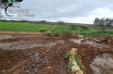 Martina Franca, scoperta una discarica abusiva di liquami, rifiuti agricoli e carcasse di animali: denunciato allevatore Martina Franca, scoperta una discarica abusiva di liquami, rifiuti agricoli e carcasse di animali: denunciato allevatore