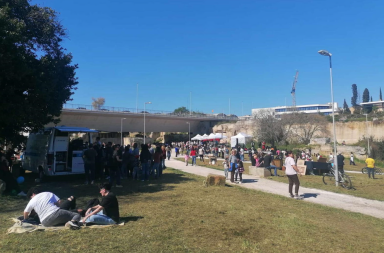 Lecce, le erbacce della discordia: botta e risposta tra l’opposizione e il sindaco sulla situazione parchi Lecce, le erbacce della discordia: botta e risposta tra l’opposizione e il sindaco sulla situazione parchi