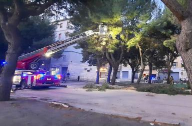 Foggia, grosso ramo cade in P.zza Giovanni XXIII: strada bloccata e intervento dei Vigili del Fuoco