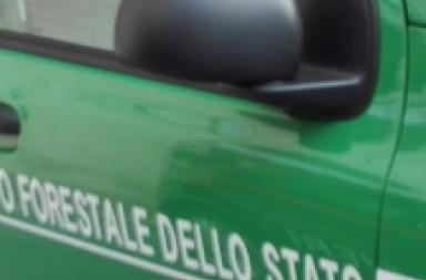 Cagnano Varano, ritrovato in caserma il corpo senza vita di un carabiniere forestale. L'ipotesi di un gesto estremo Cagnano Varano, ritrovato in caserma il corpo senza vita di un carabiniere forestale. L'ipotesi di un gesto estremo