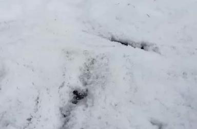 Crispiano, violenta grandinata improvvisa: strade e campi imbiancati &laquo;sembra un paesaggio invernale&raquo; VIDEO