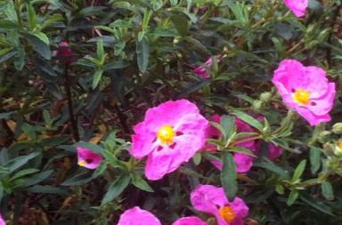 La foto del giorno del 17 novembre 2025 La foto del giorno del 17 novembre 2025