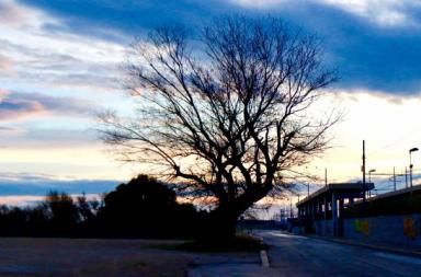 La foto del giorno del 19 novembre 2025 La foto del giorno del 19 novembre 2025