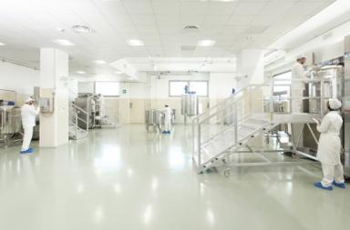 Martano, città dell’Aloe: gli esperti a confronto Martano, città dell’Aloe: gli esperti a confronto