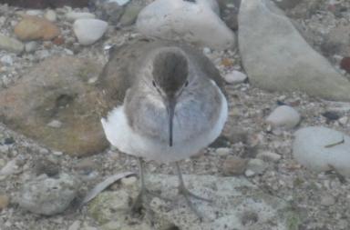 La foto del giorno del 22 febbraio 2026