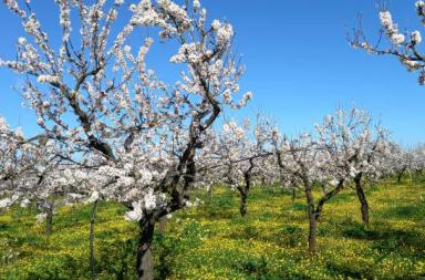 La foto del giorno del 26 febbraio 2026