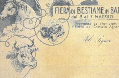 La foto del giorno del 1 marzo 2026