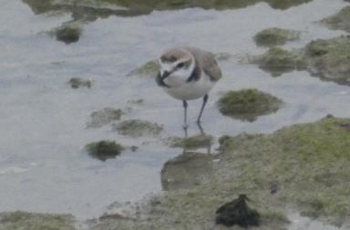 La foto del giorno del 3 marzo 2026